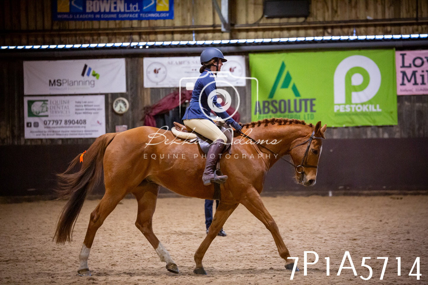 Home Farm Spring Show 2026 - Ridden pt1