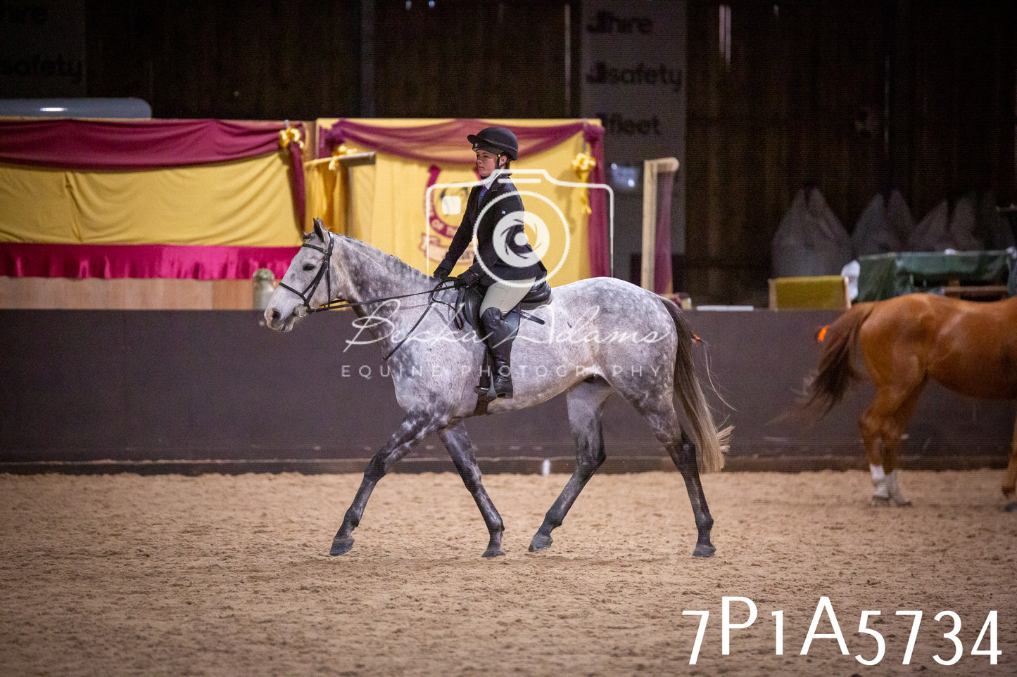 Home Farm Spring Show 2026 - Ridden pt1