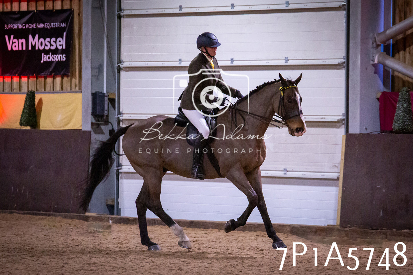 Home Farm Spring Show 2026 - Ridden pt1