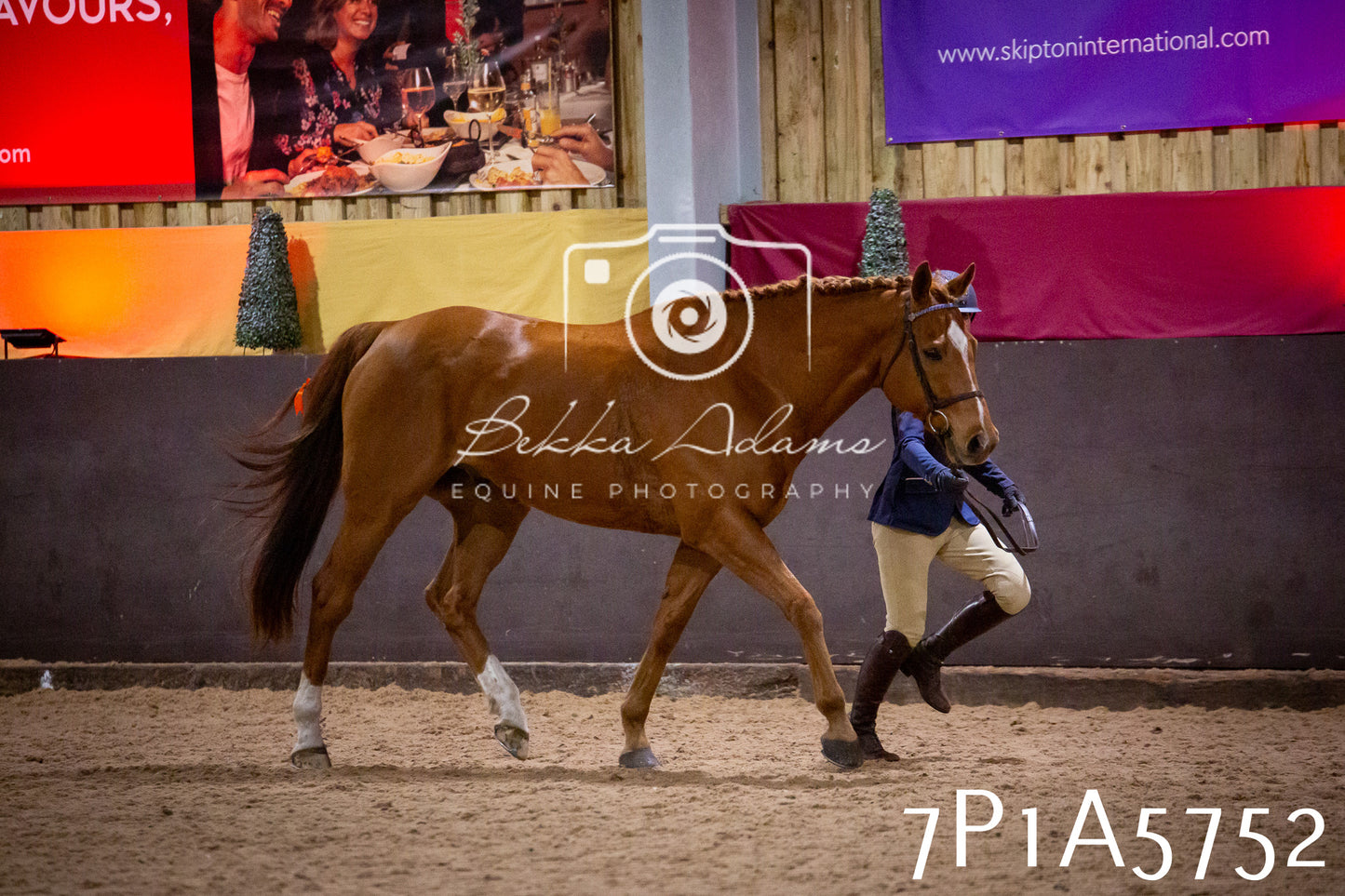 Home Farm Spring Show 2026 - Ridden pt1