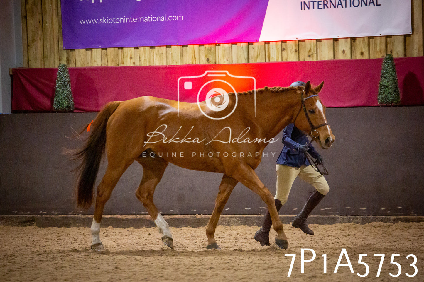 Home Farm Spring Show 2026 - Ridden pt1