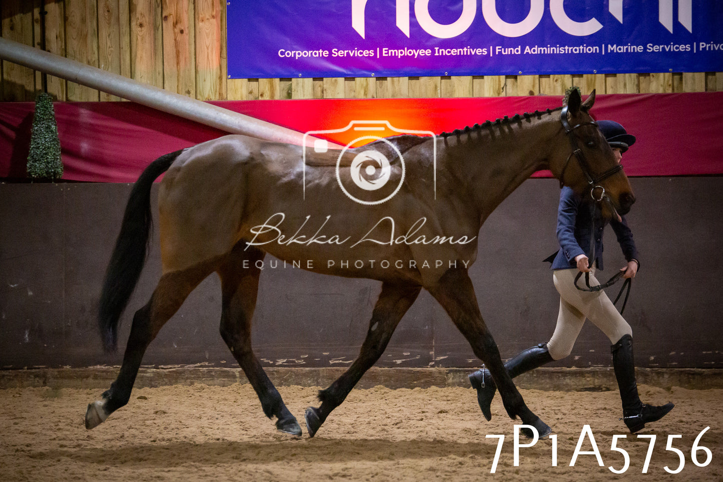 Home Farm Spring Show 2026 - Ridden pt1