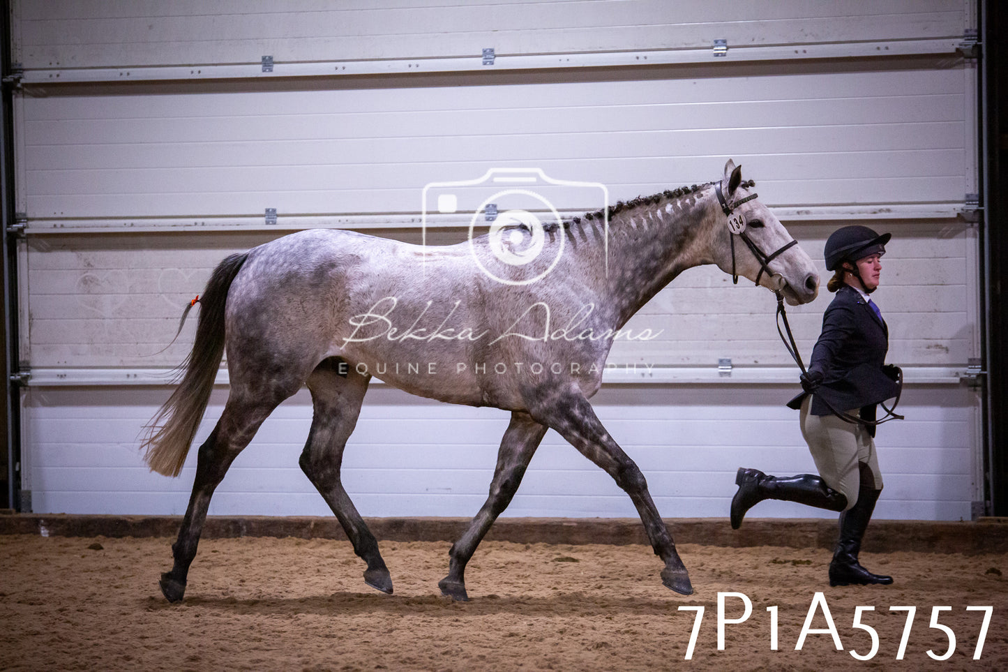 Home Farm Spring Show 2026 - Ridden pt1
