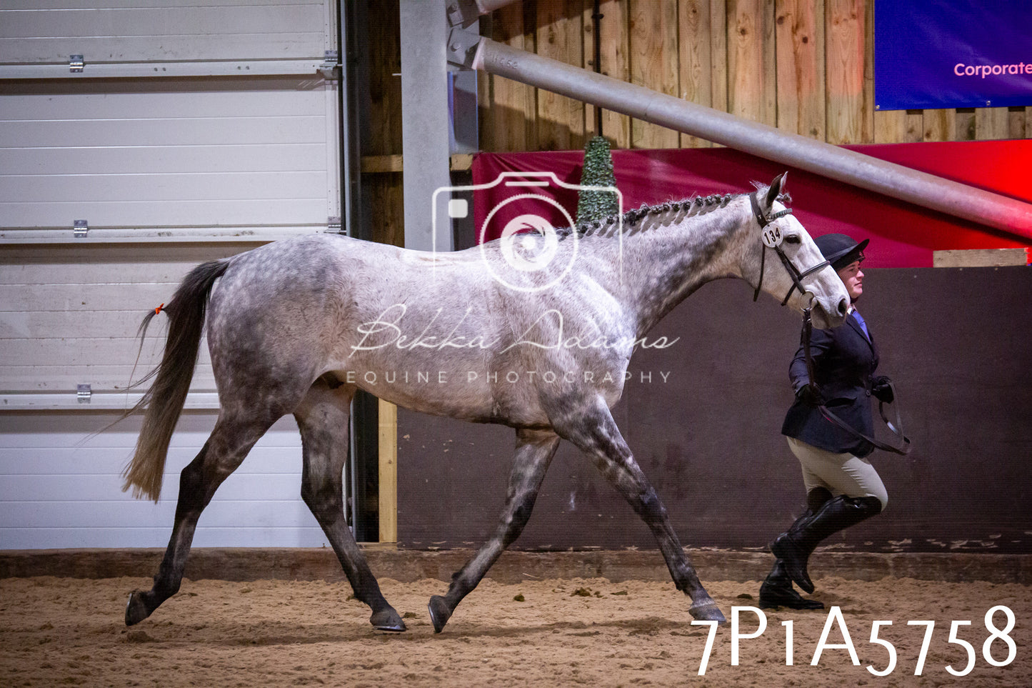 Home Farm Spring Show 2026 - Ridden pt1