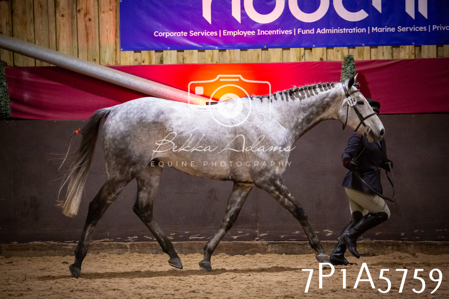 Home Farm Spring Show 2026 - Ridden pt1