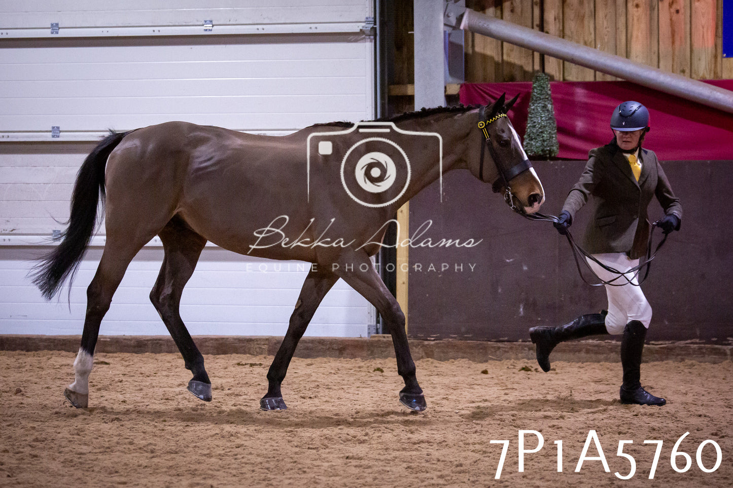 Home Farm Spring Show 2026 - Ridden pt1