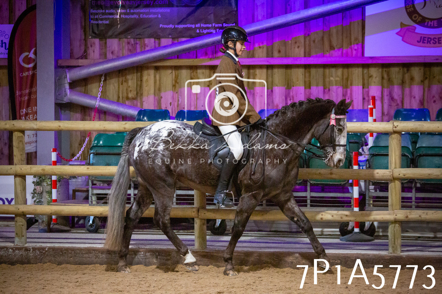 Home Farm Spring Show 2026 - Ridden pt1
