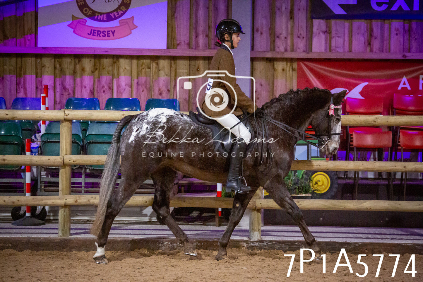 Home Farm Spring Show 2026 - Ridden pt1