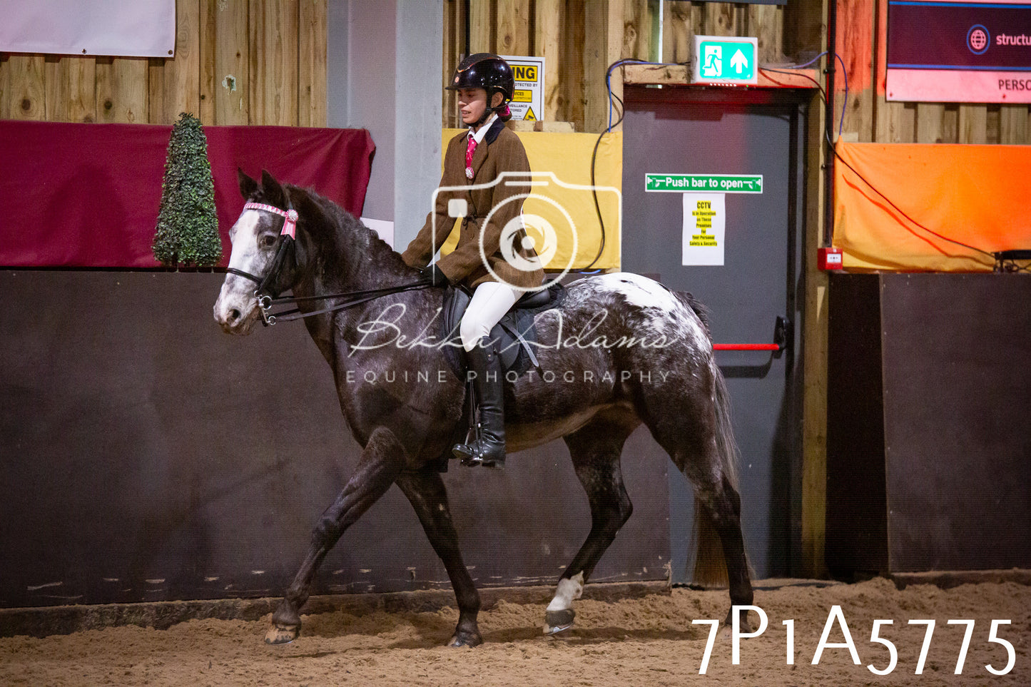Home Farm Spring Show 2026 - Ridden pt1