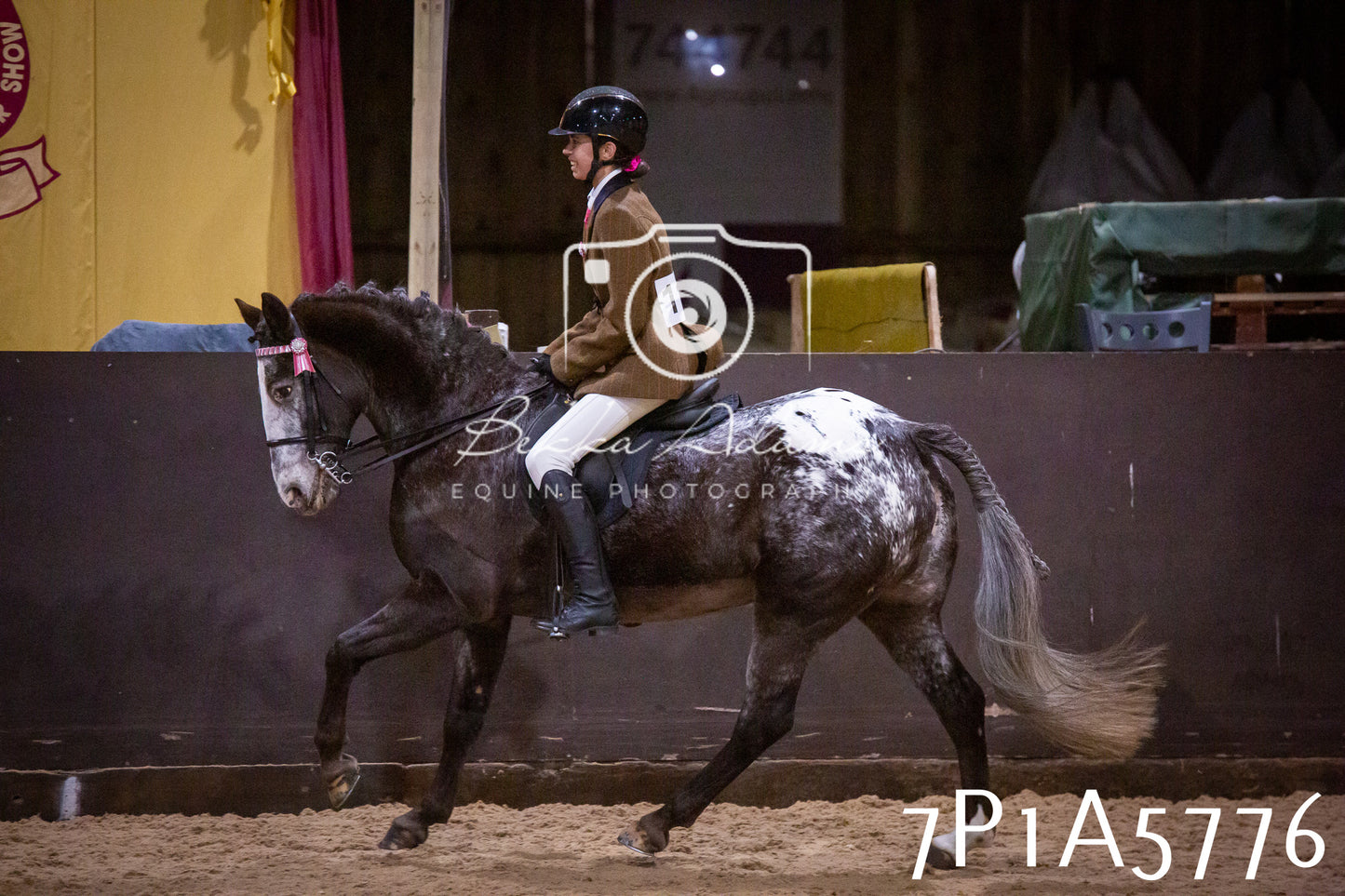 Home Farm Spring Show 2026 - Ridden pt1