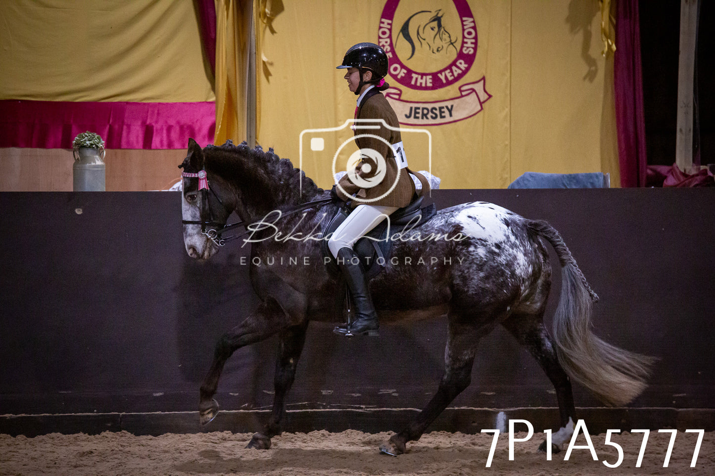 Home Farm Spring Show 2026 - Ridden pt1