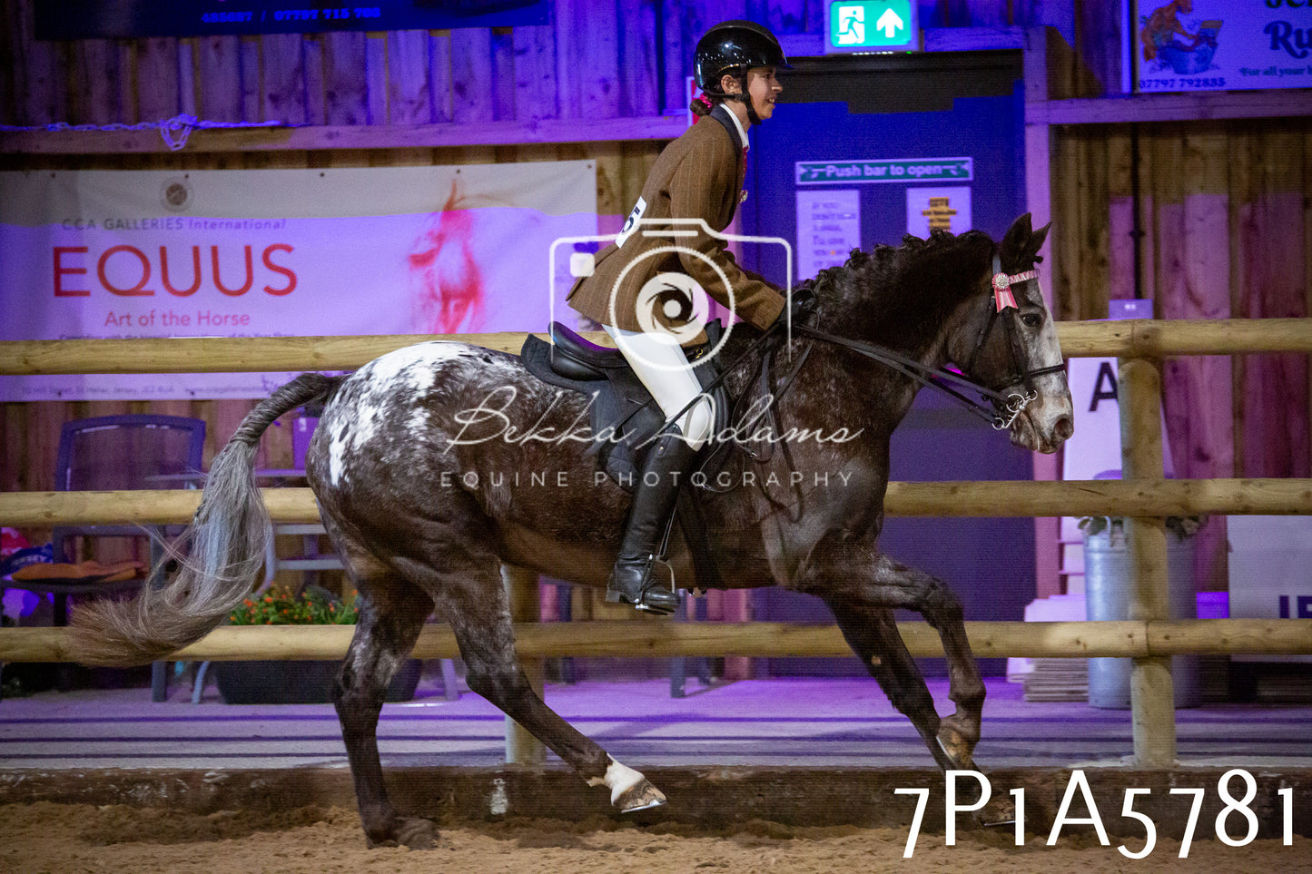 Home Farm Spring Show 2026 - Ridden pt1