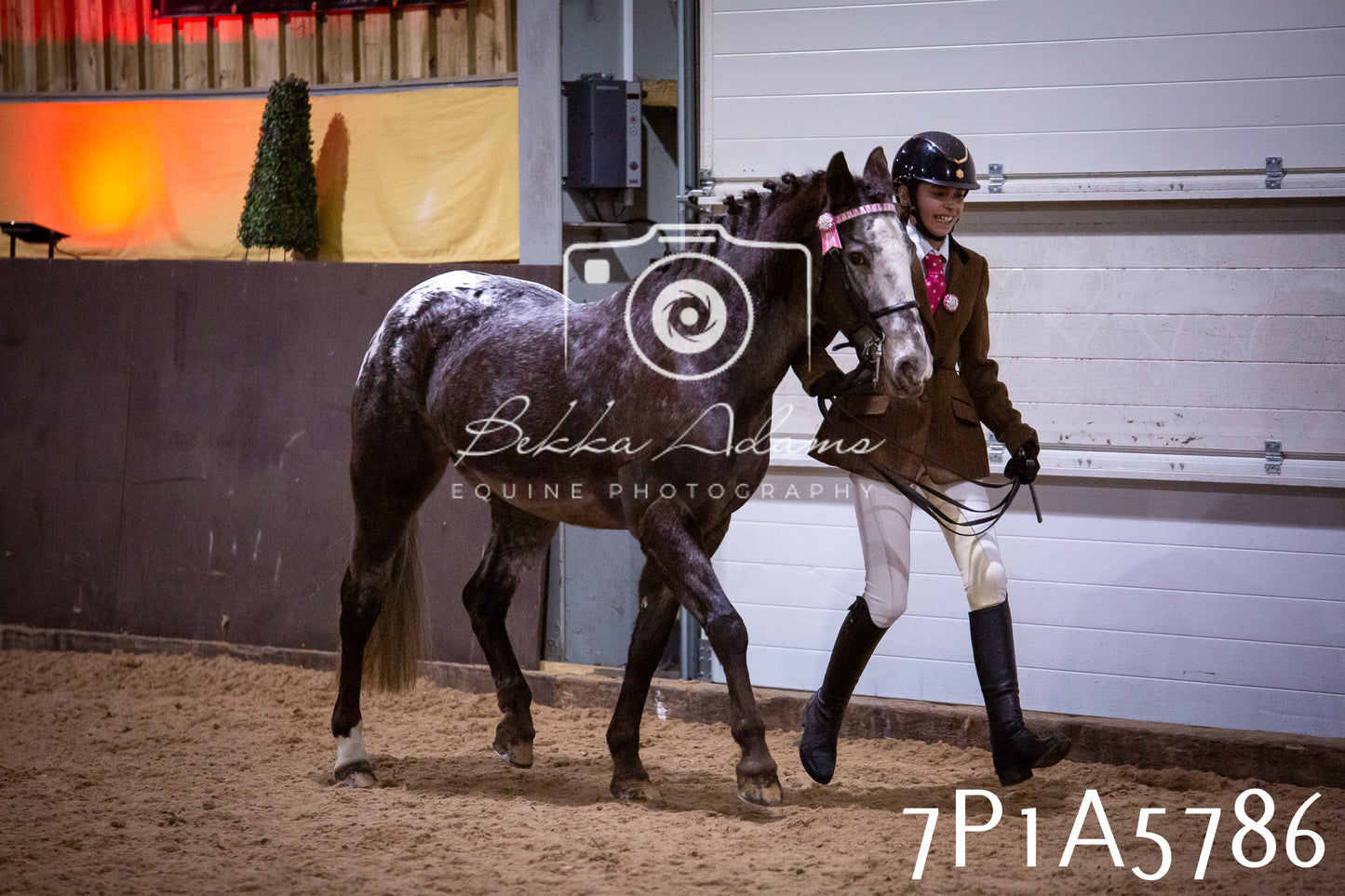 Home Farm Spring Show 2026 - Ridden pt1