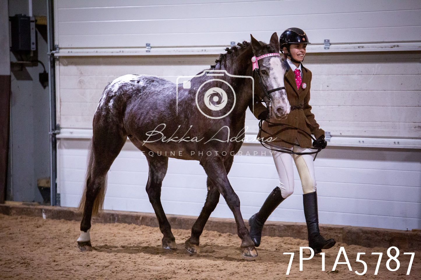 Home Farm Spring Show 2026 - Ridden pt1