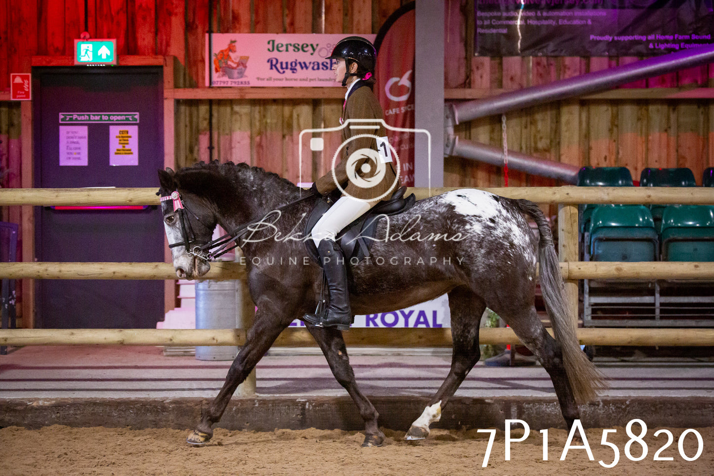 Home Farm Spring Show 2026 - Ridden pt1