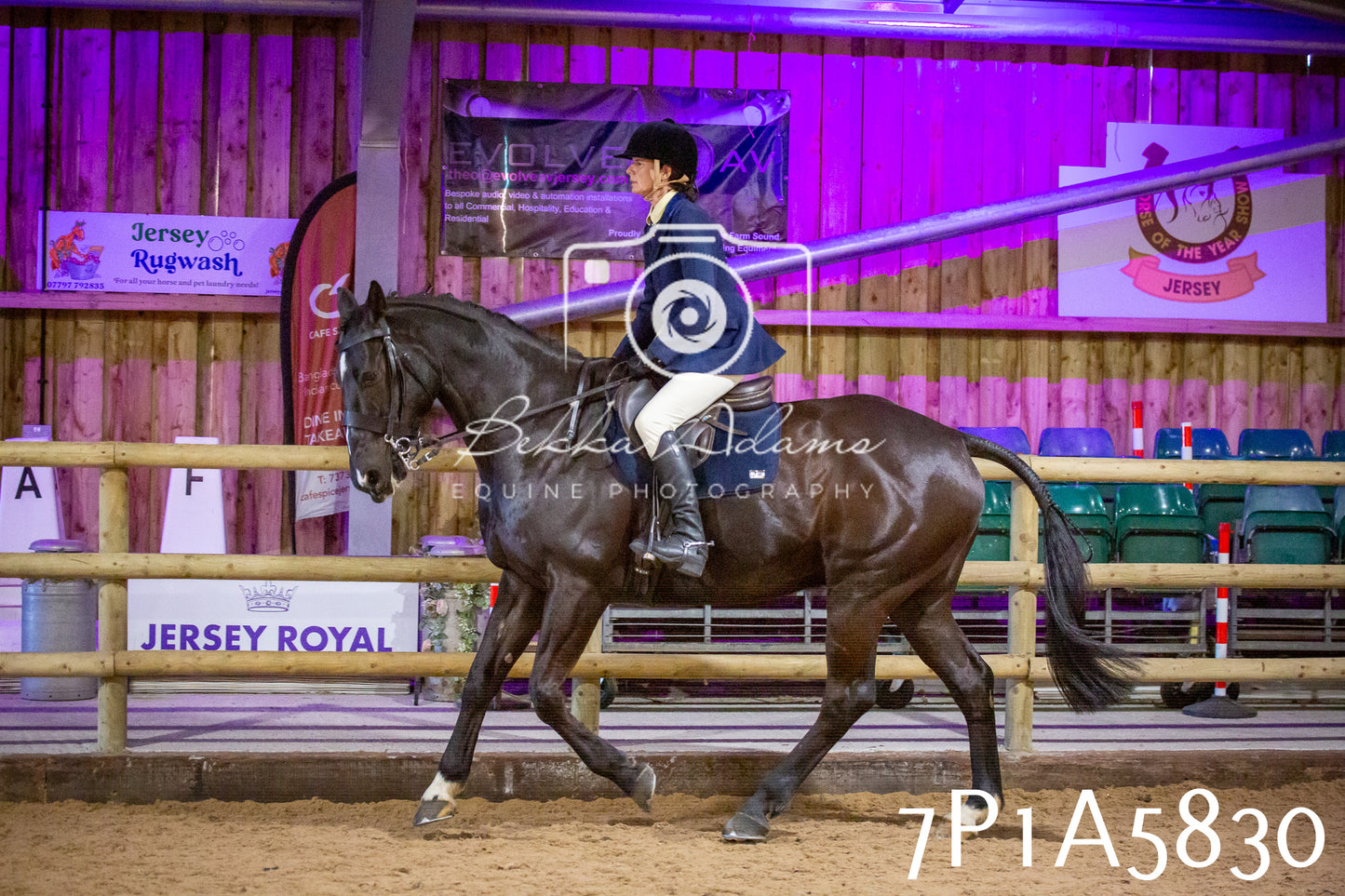 Home Farm Spring Show 2026 - Ridden pt1
