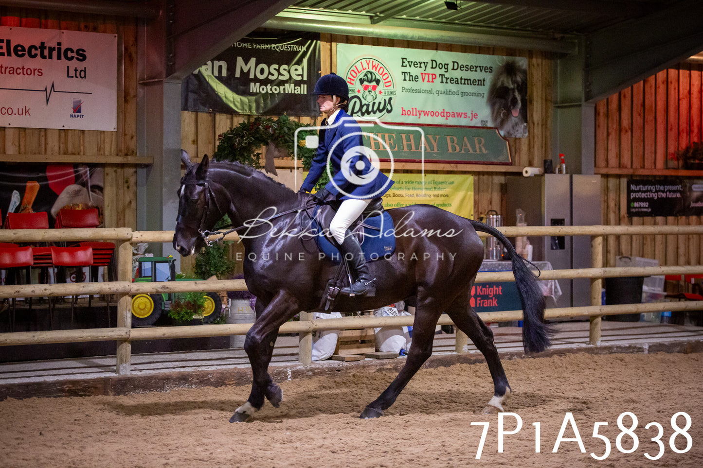 Home Farm Spring Show 2026 - Ridden pt1