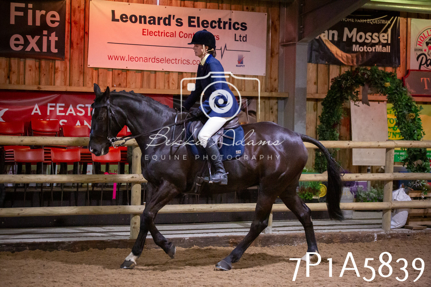 Home Farm Spring Show 2026 - Ridden pt1