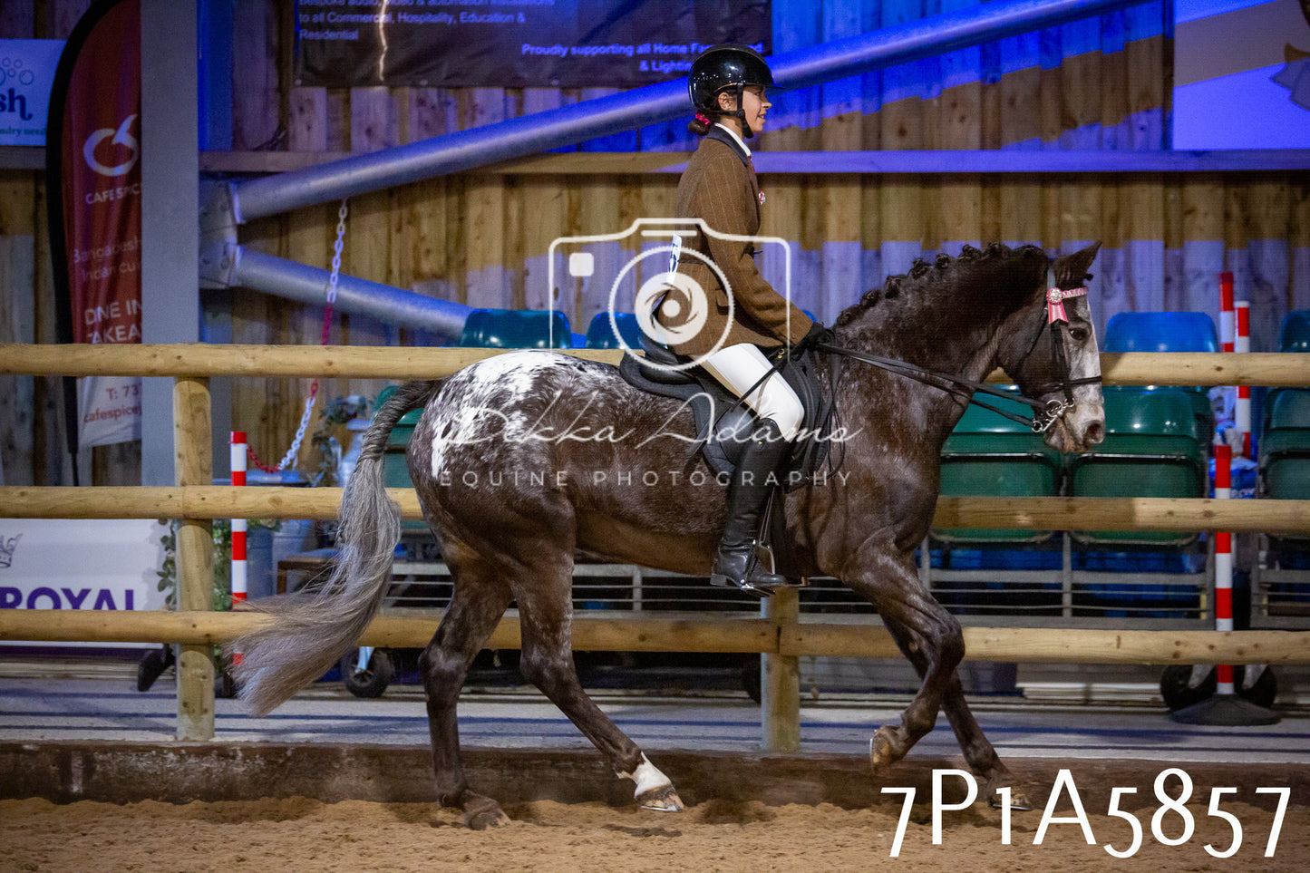 Home Farm Spring Show 2026 - Ridden pt1