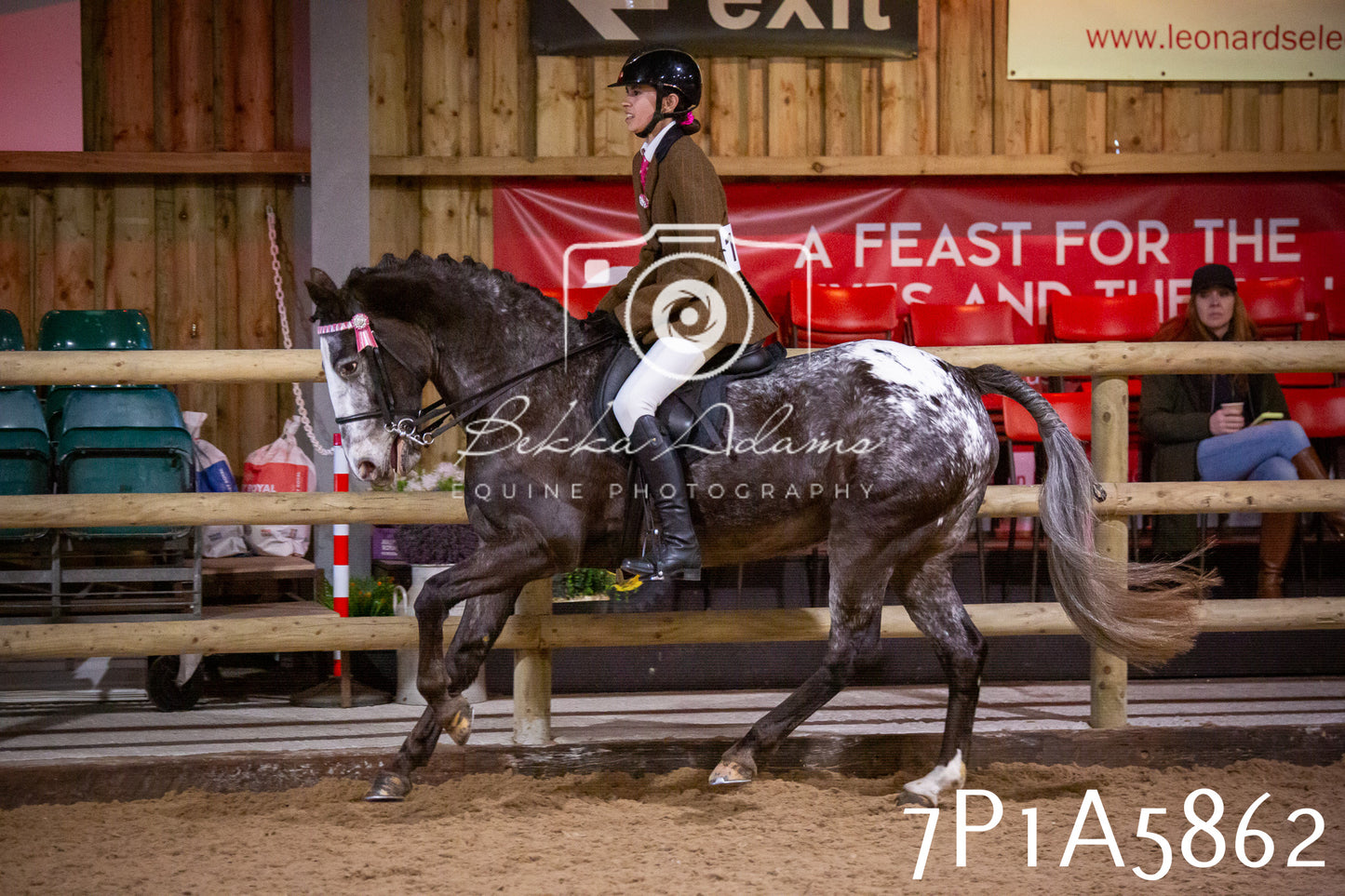 Home Farm Spring Show 2026 - Ridden pt1