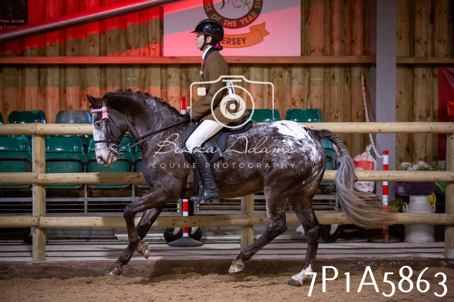 Home Farm Spring Show 2026 - Ridden pt1