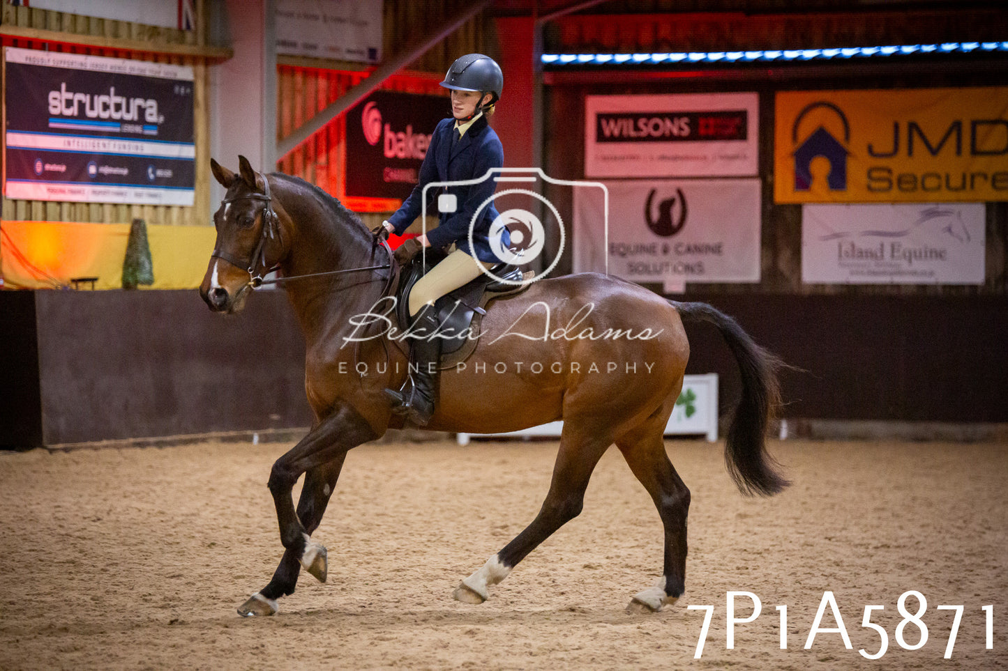 Home Farm Spring Show 2026 - Ridden pt1