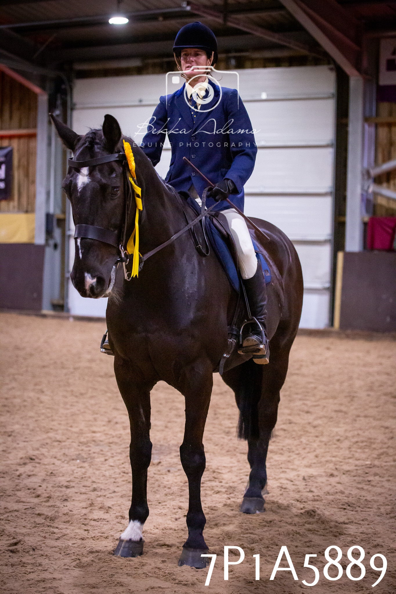 Home Farm Spring Show 2026 - Ridden pt1