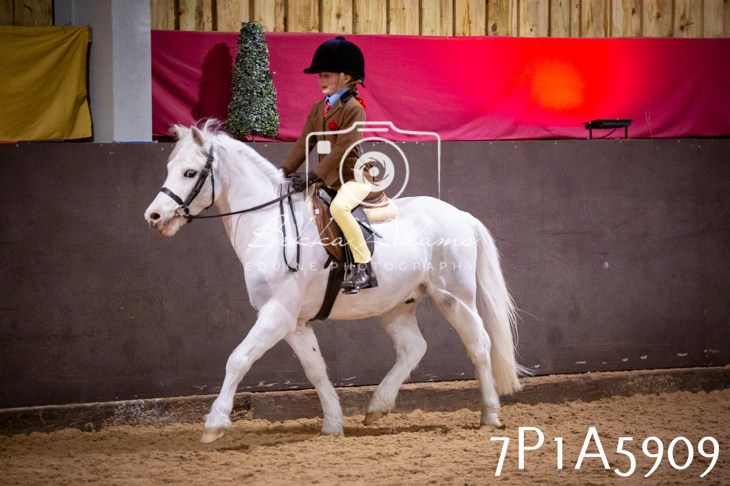 Home Farm Spring Show 2026 - Ridden pt1