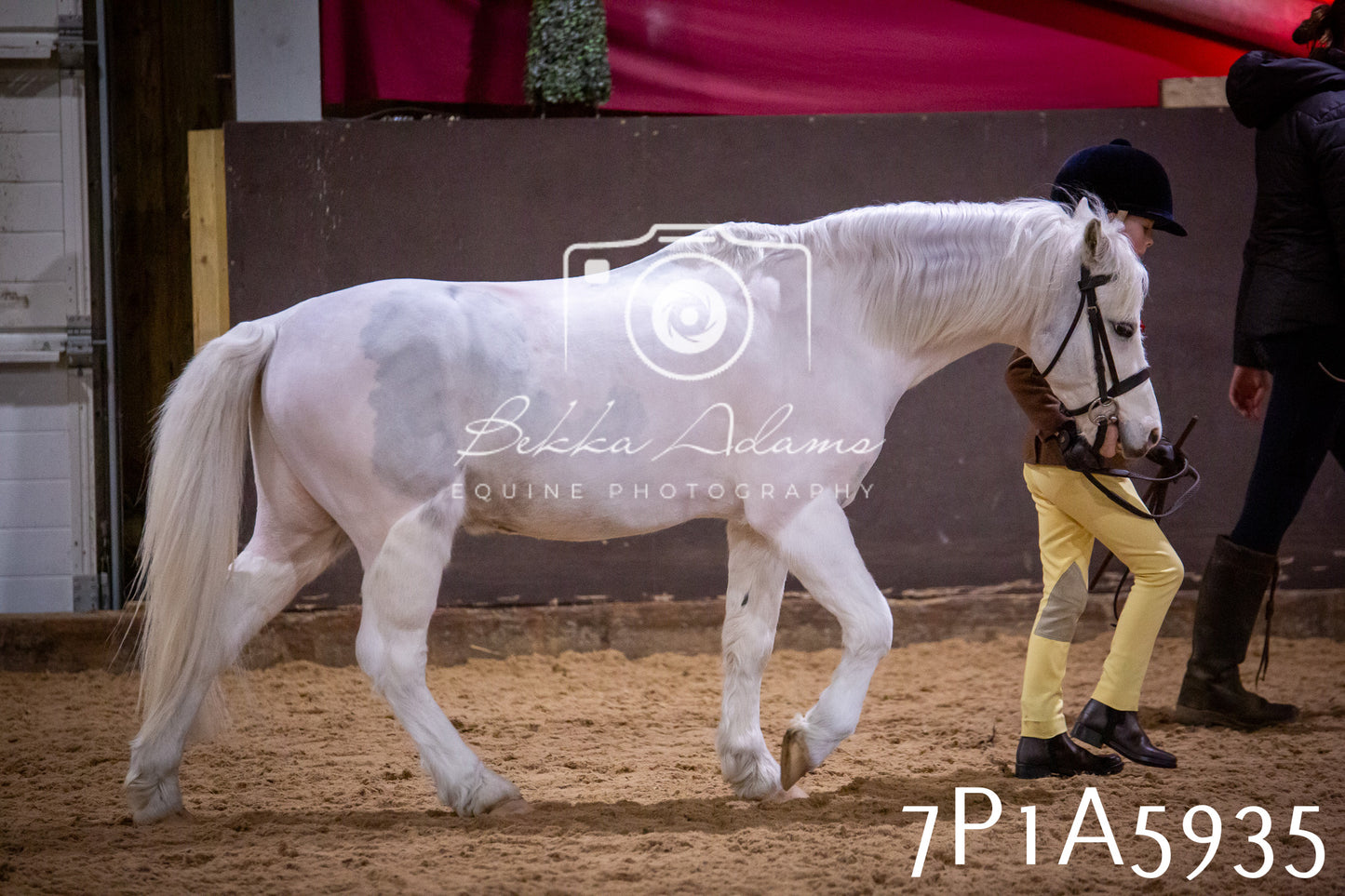 Home Farm Spring Show 2026 - Ridden pt1