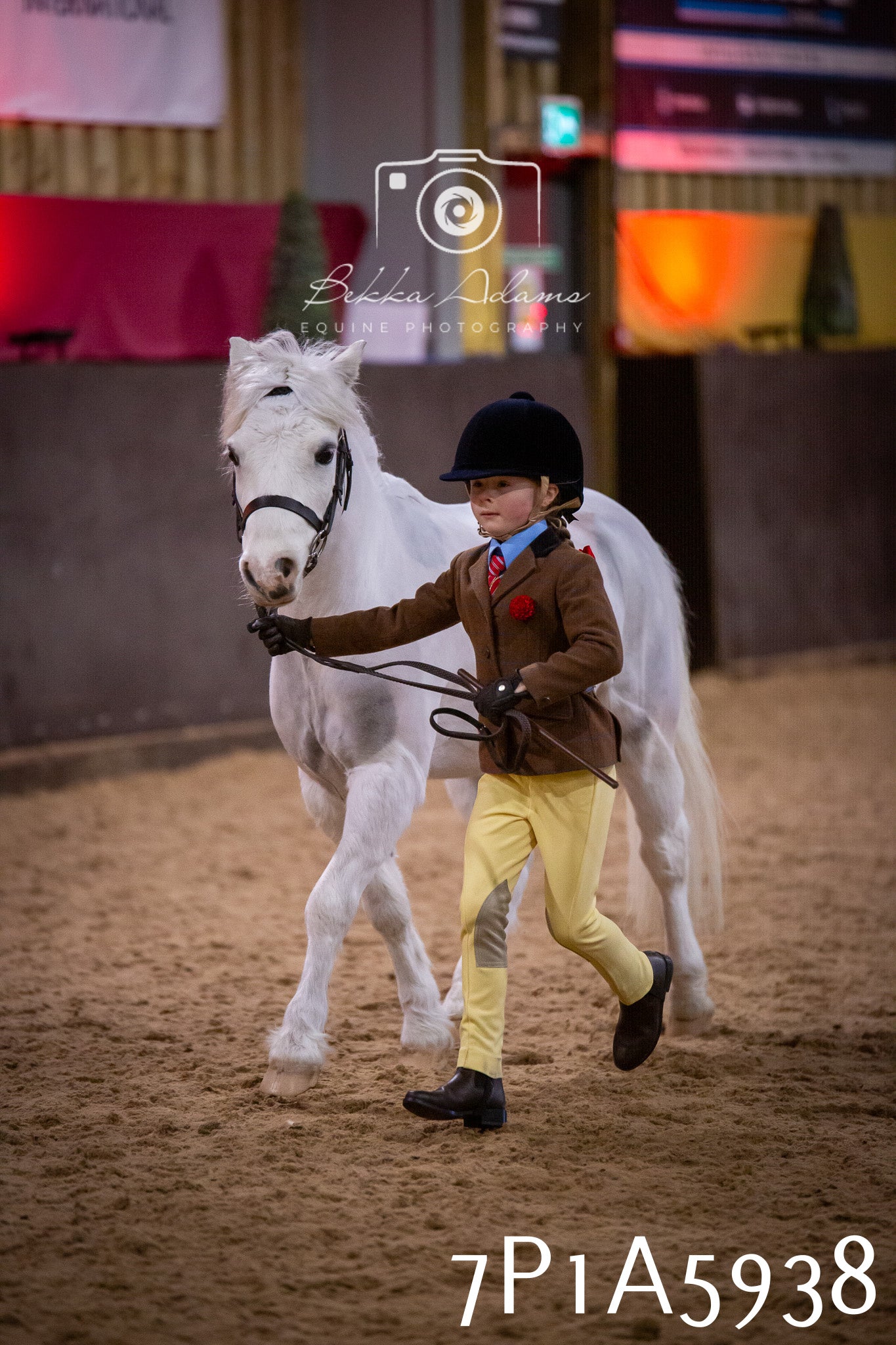 Home Farm Spring Show 2026 - Ridden pt1