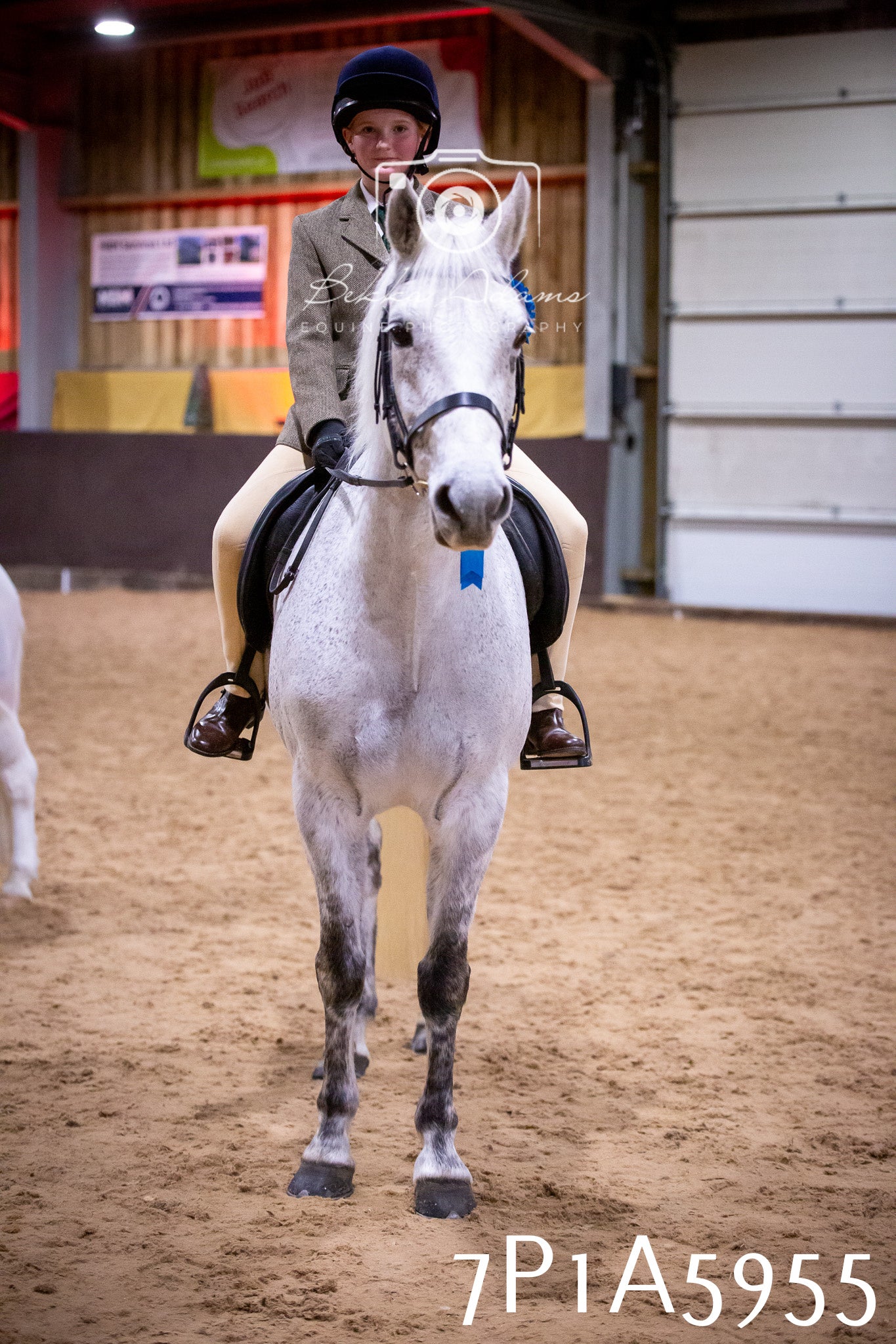 Home Farm Spring Show 2026 - Ridden pt1