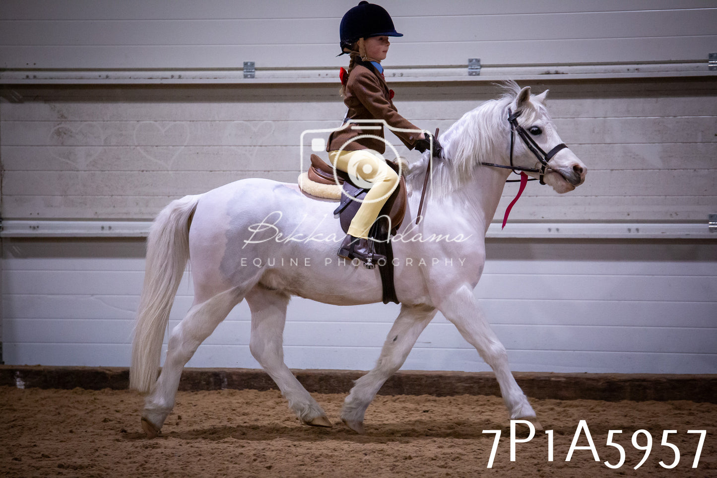 Home Farm Spring Show 2026 - Ridden pt1