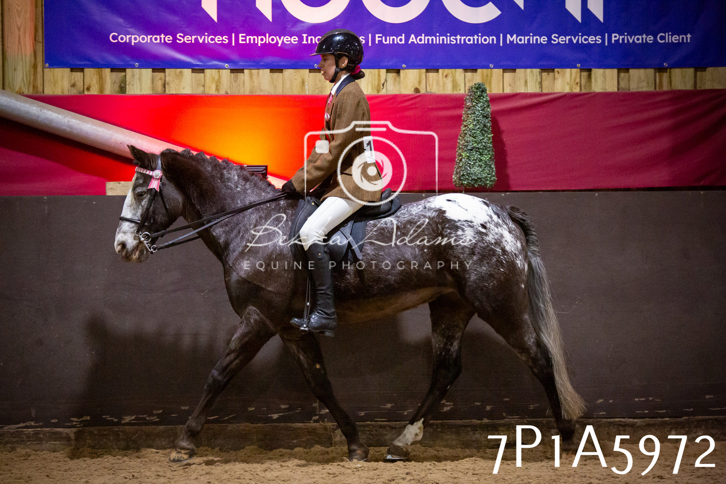 Home Farm Spring Show 2026 - Ridden pt1