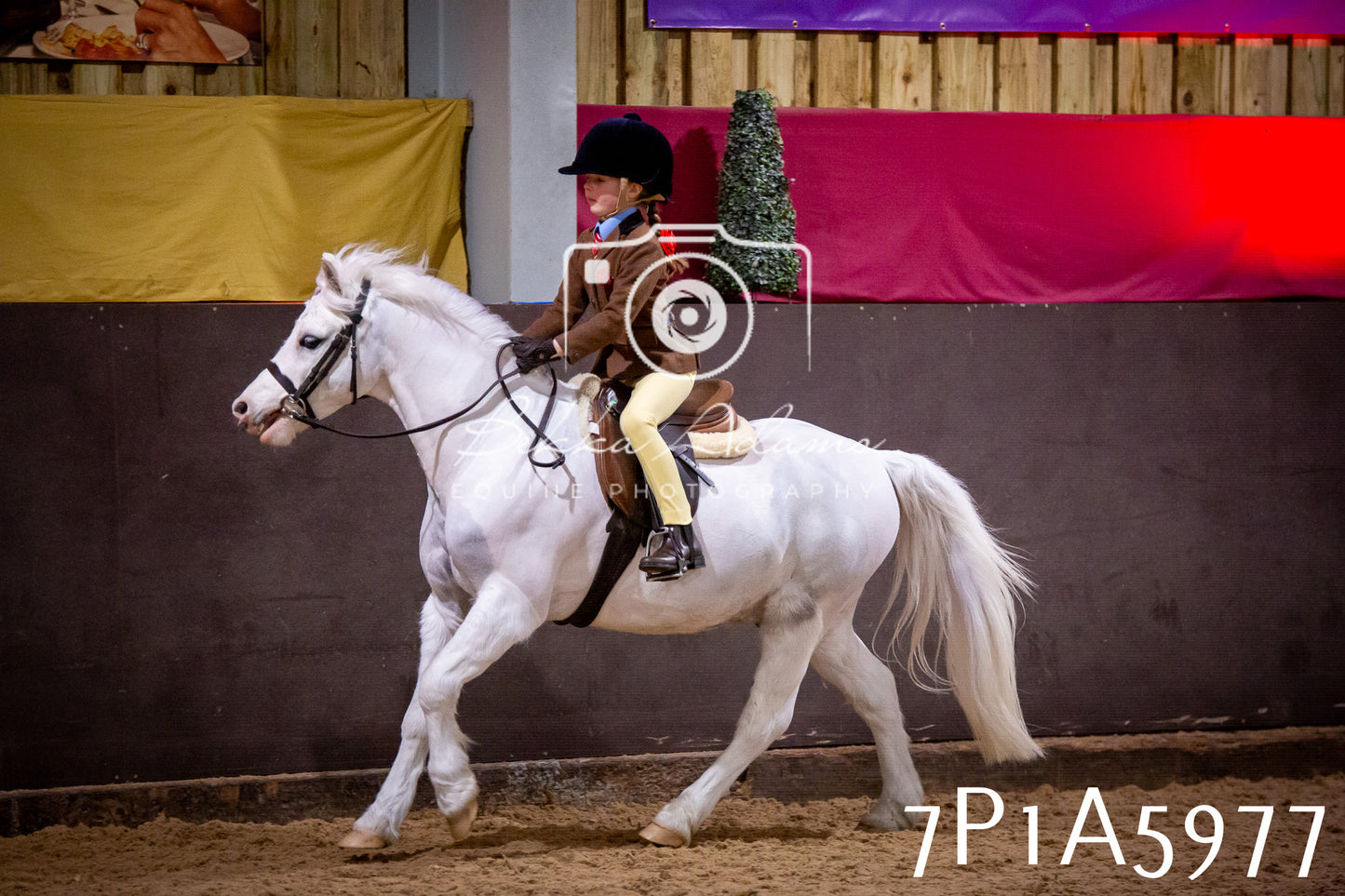 Home Farm Spring Show 2026 - Ridden pt1