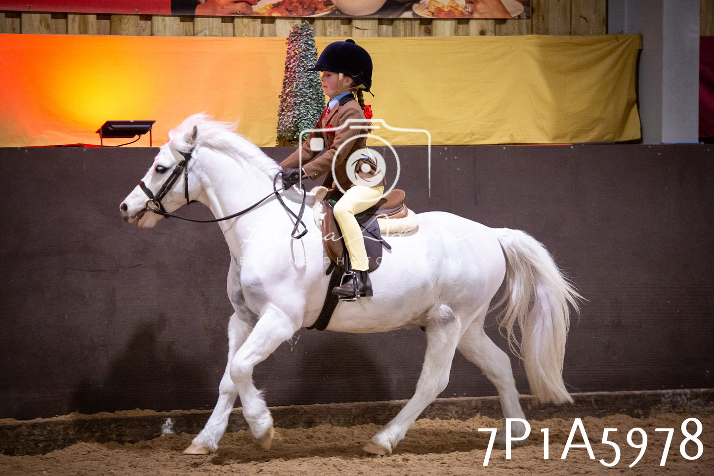 Home Farm Spring Show 2026 - Ridden pt1