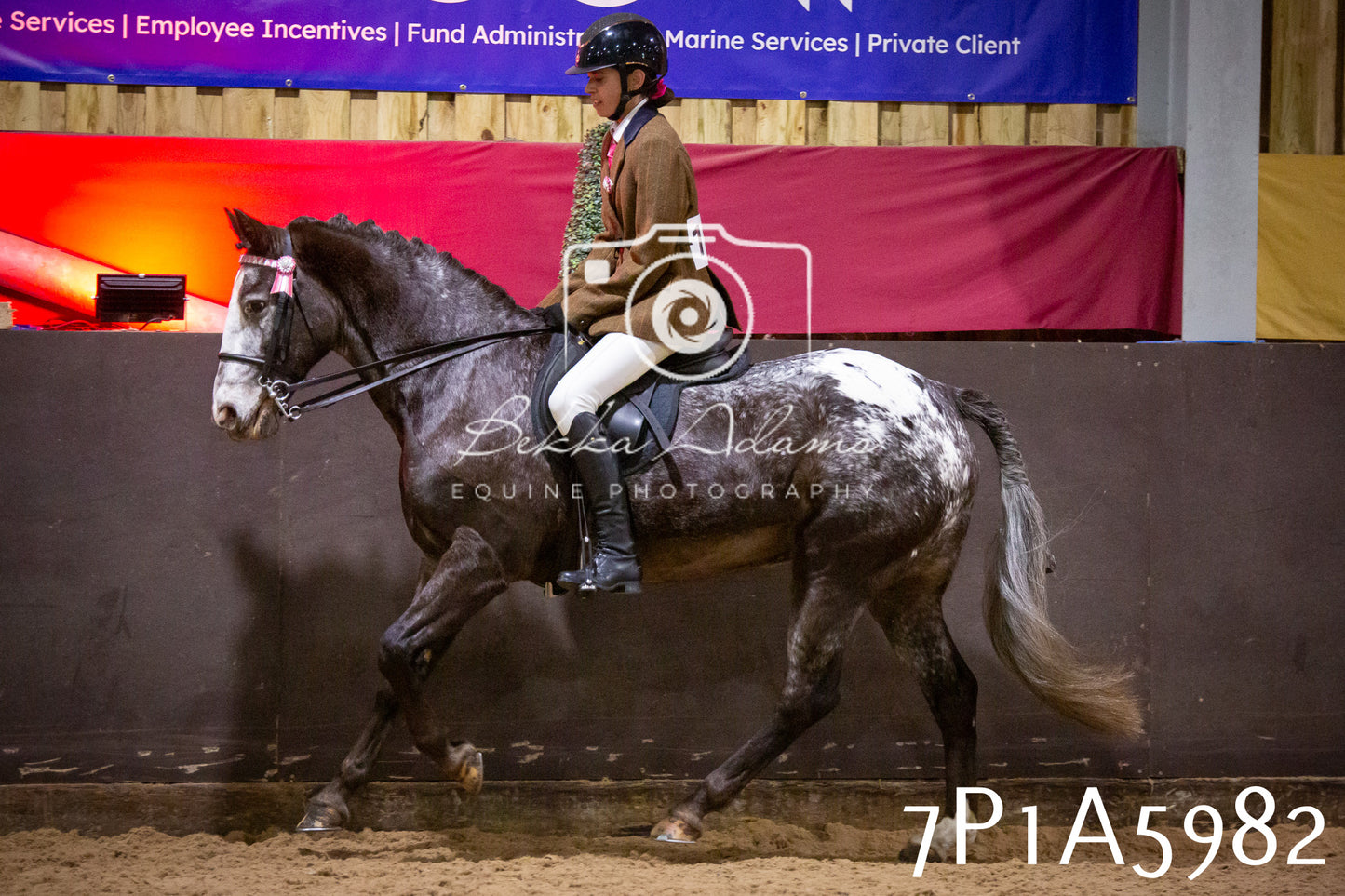 Home Farm Spring Show 2026 - Ridden pt1