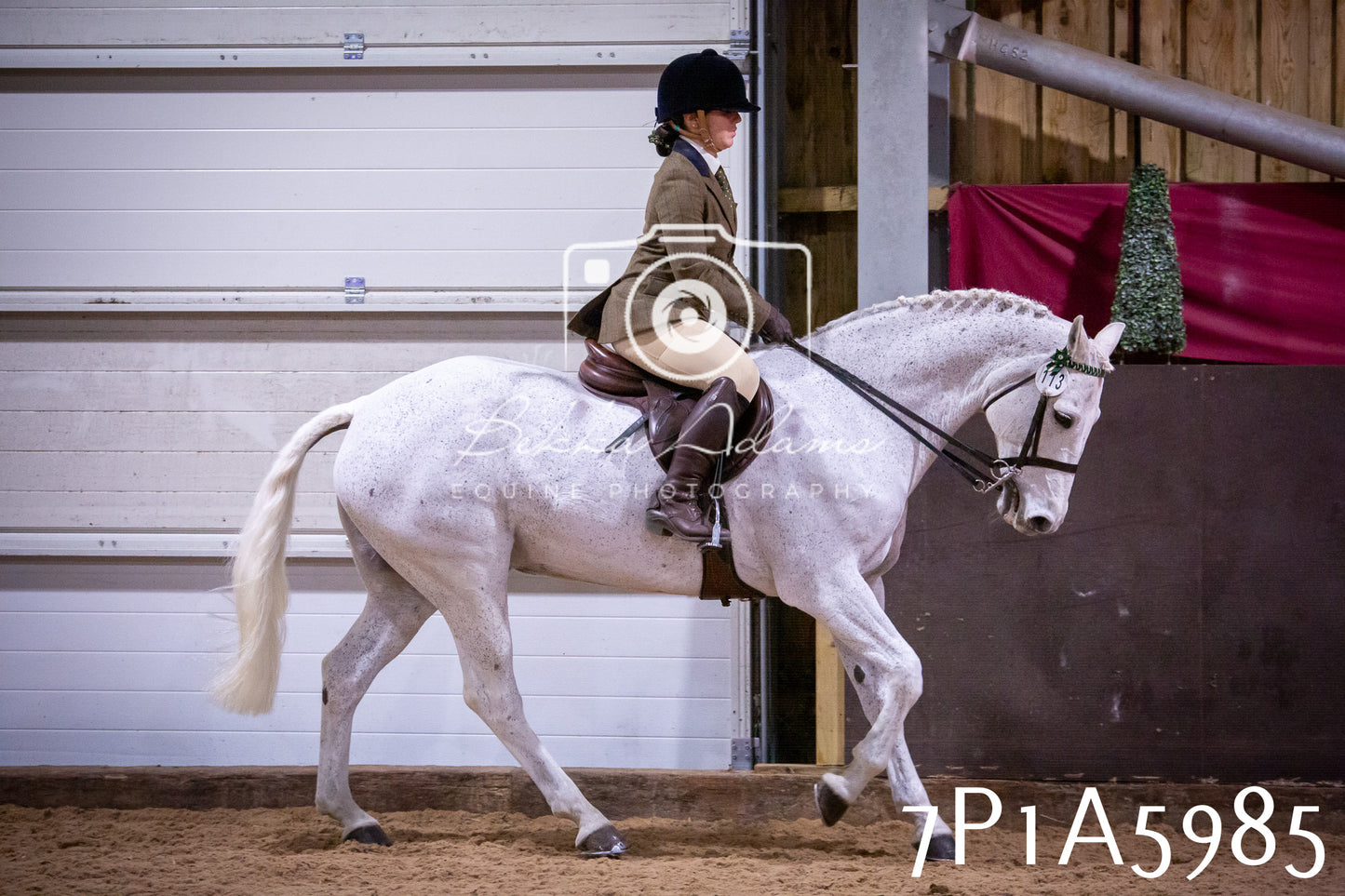 Home Farm Spring Show 2026 - Ridden pt1