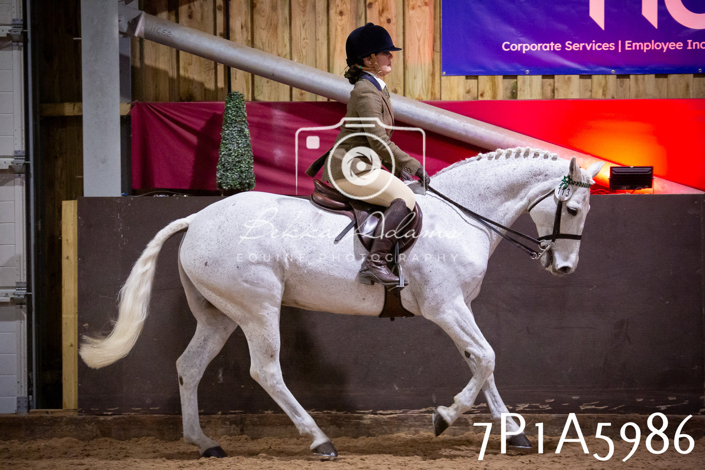 Home Farm Spring Show 2026 - Ridden pt1