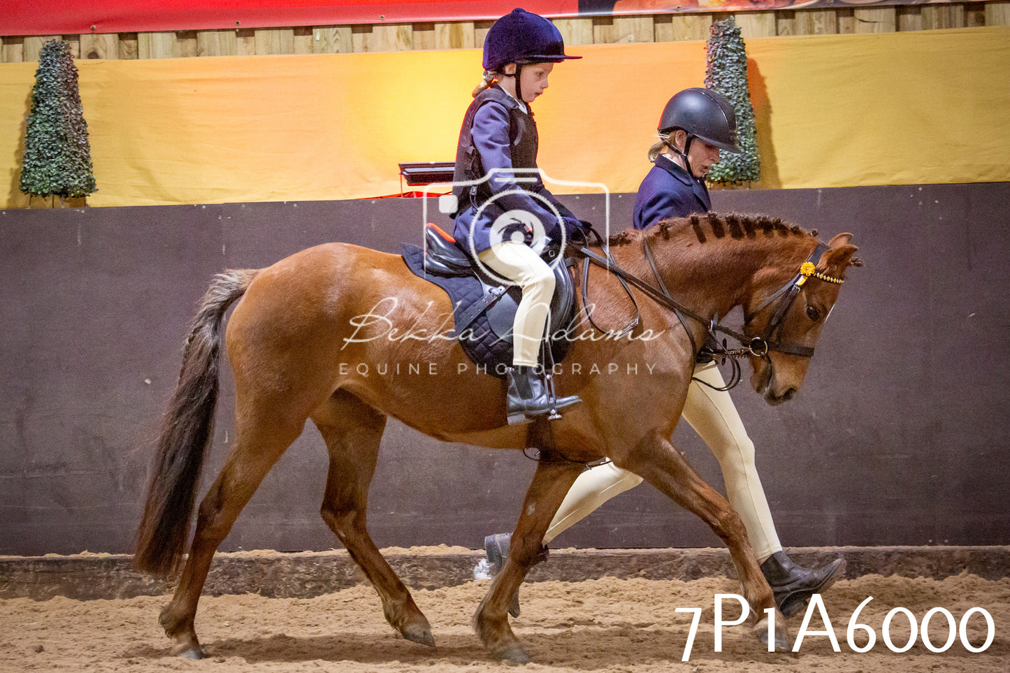 Home Farm Spring Show 2026 - Ridden pt1