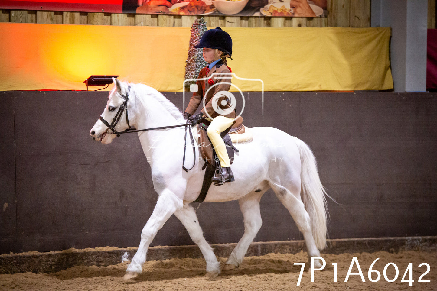 Home Farm Spring Show 2026 - Ridden pt1