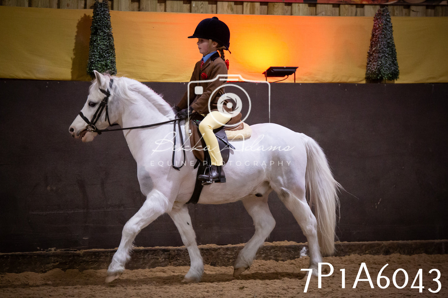 Home Farm Spring Show 2026 - Ridden pt1
