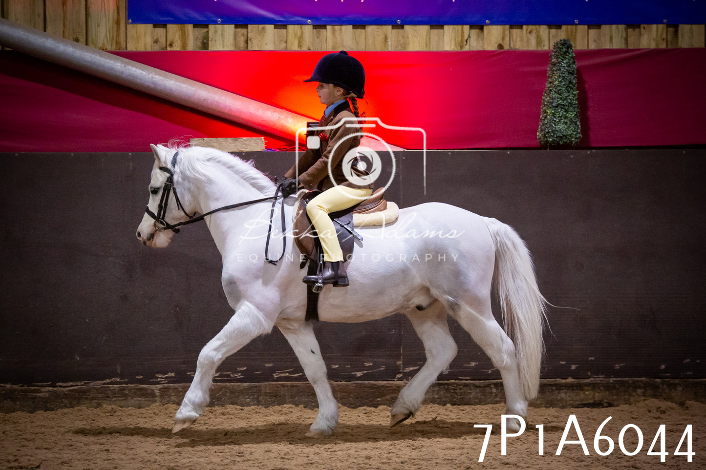 Home Farm Spring Show 2026 - Ridden pt1