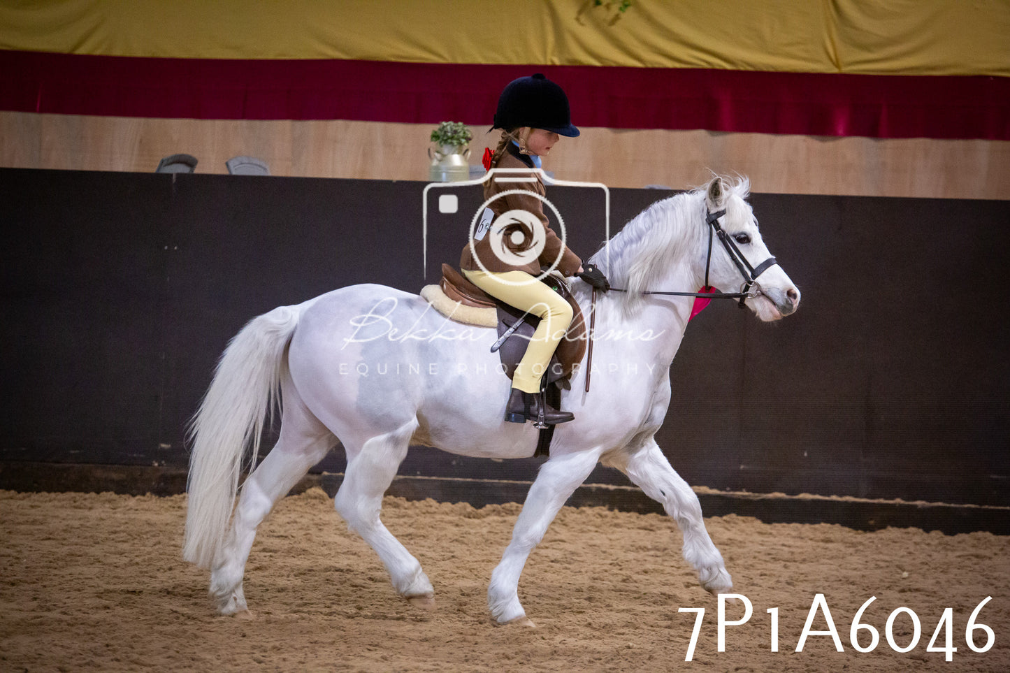 Home Farm Spring Show 2026 - Ridden pt1