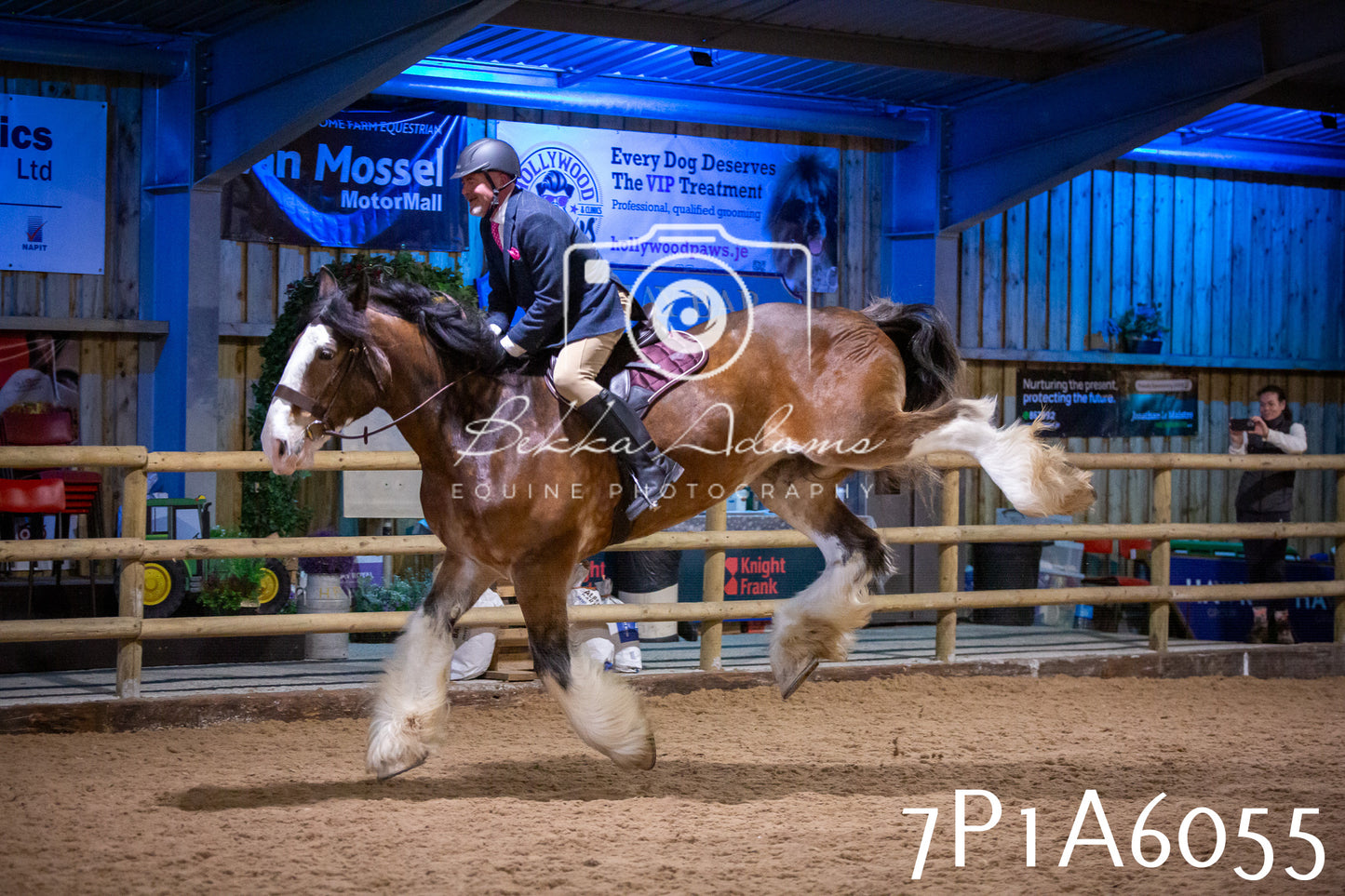 Home Farm Spring Show 2026 - Ridden pt1