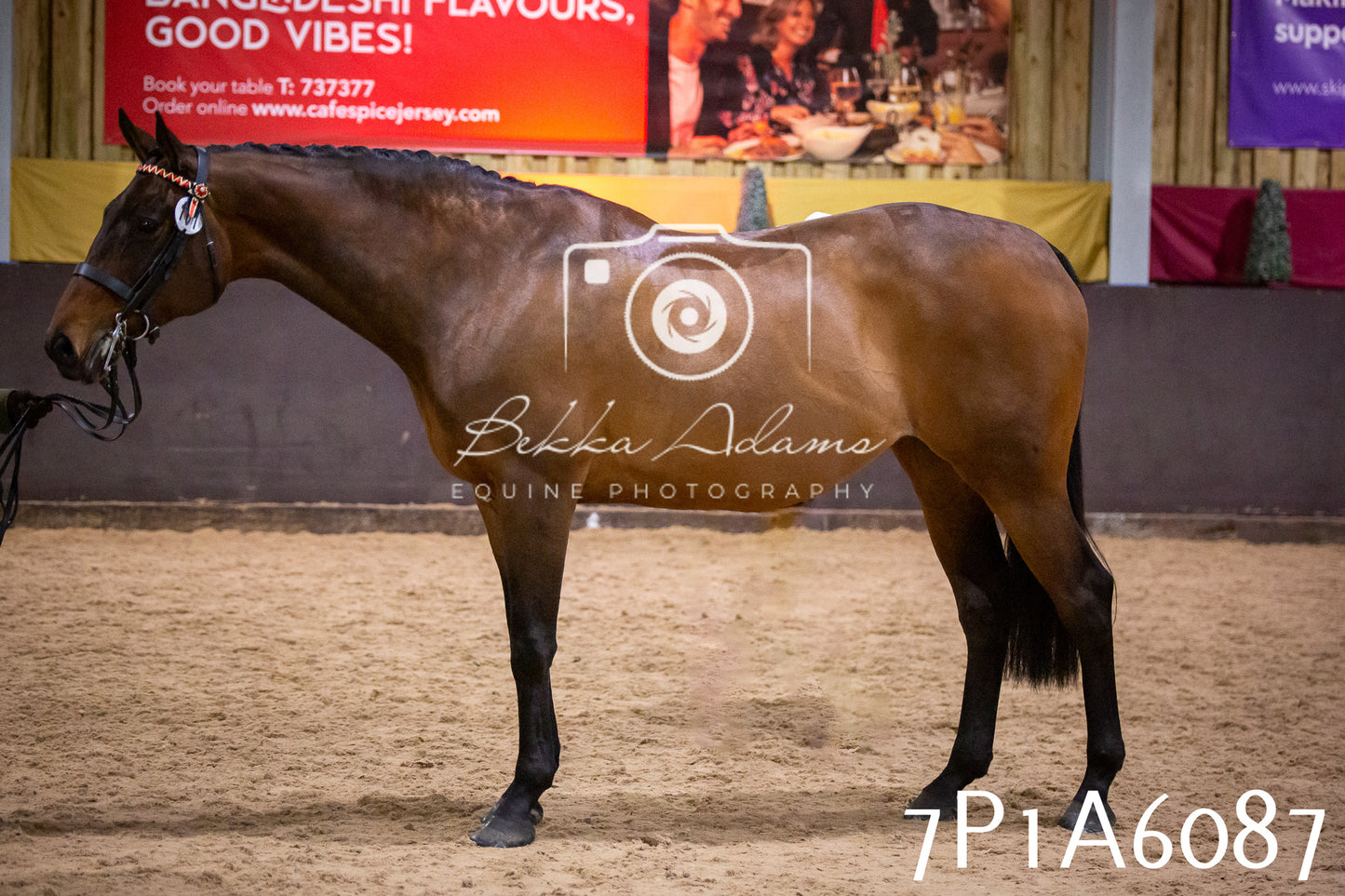 Home Farm Spring Show 2026 - Ridden pt1
