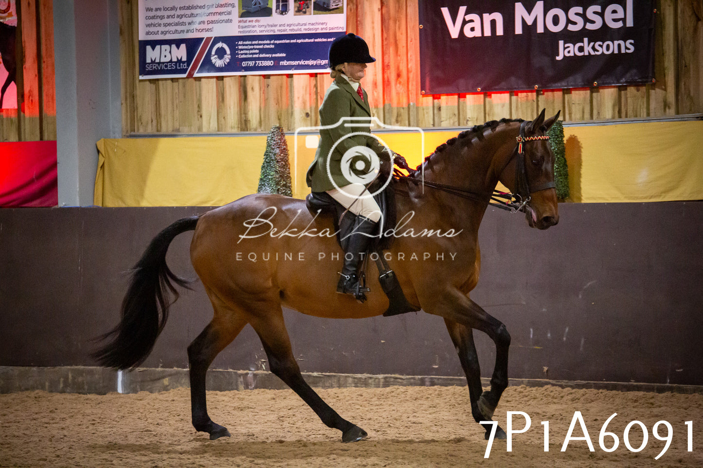 Home Farm Spring Show 2026 - Ridden pt2