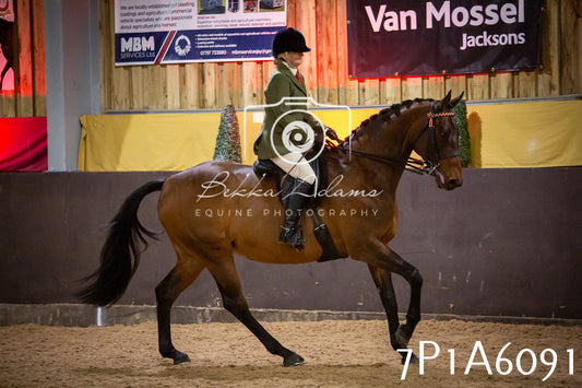 Home Farm Spring Show 2026 - Ridden pt2
