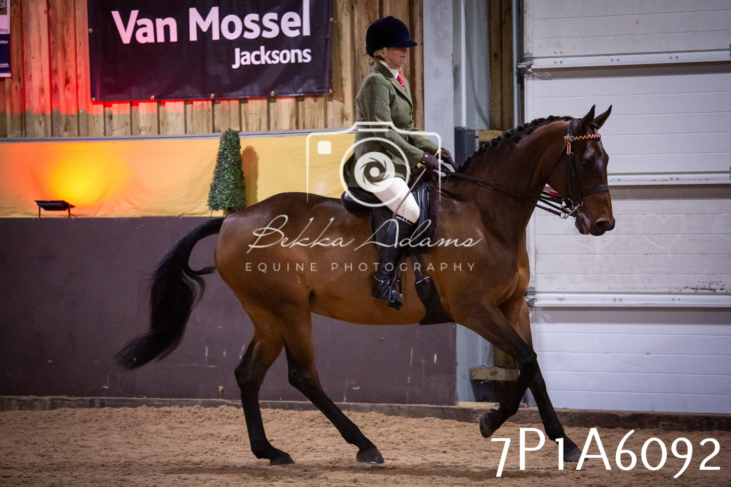 Home Farm Spring Show 2026 - Ridden pt2