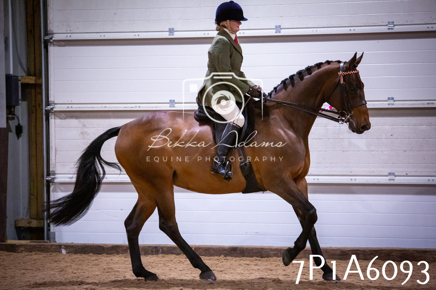 Home Farm Spring Show 2026 - Ridden pt2