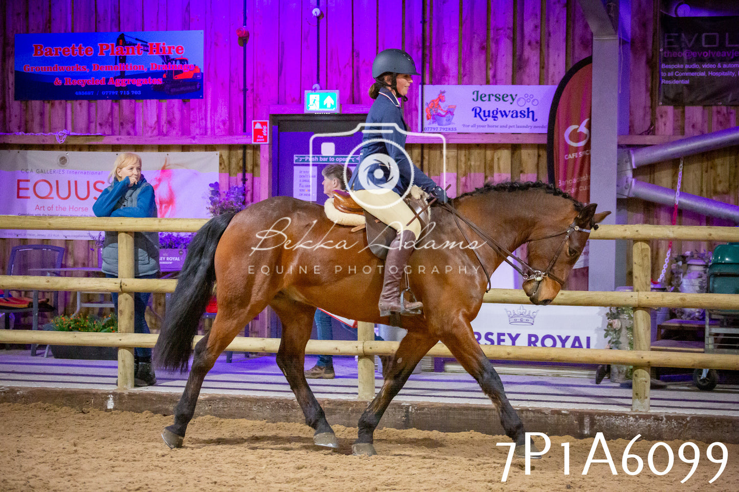 Home Farm Spring Show 2026 - Ridden pt2